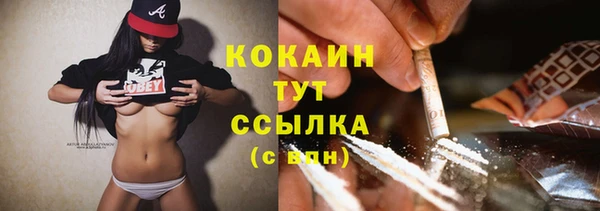 дживик Алексин