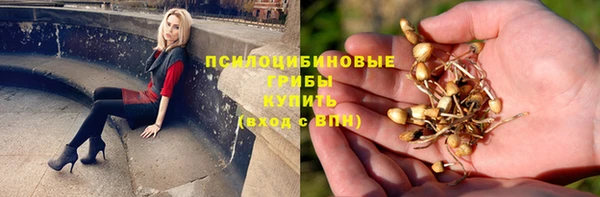 кристаллы Алзамай